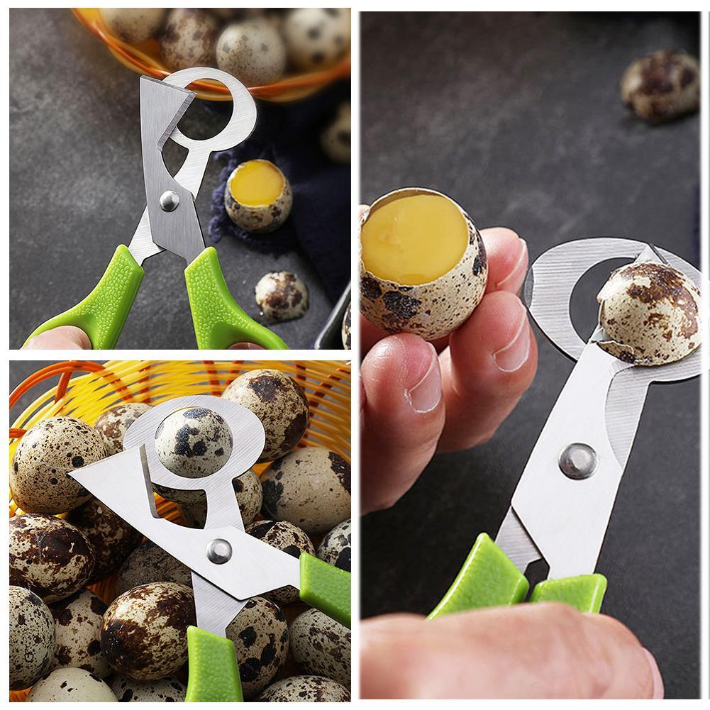 Pigeon Quail Open Crack Small  - Egg Separator Tool ulasan dan harga