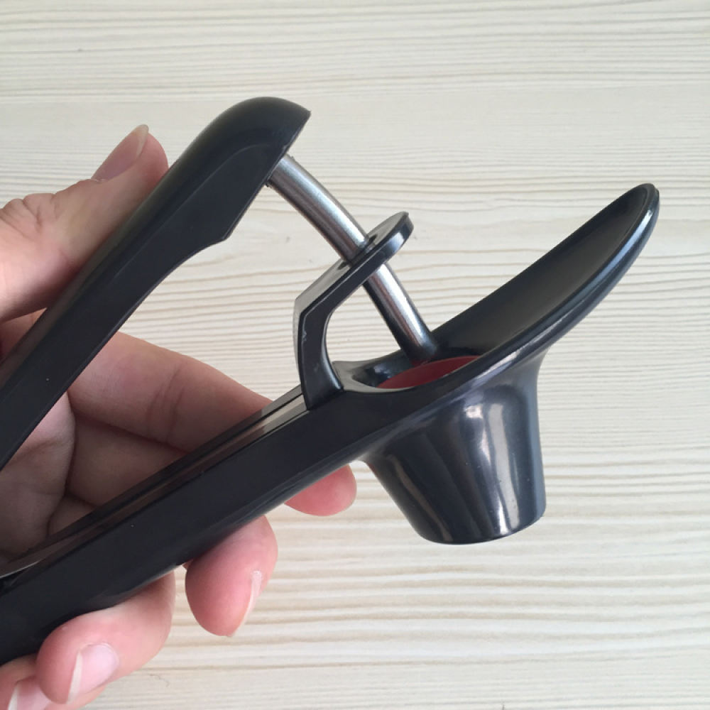 Professional Cherry Pitter Sta - Kitchen Helper Gadgets ulasan dan harga